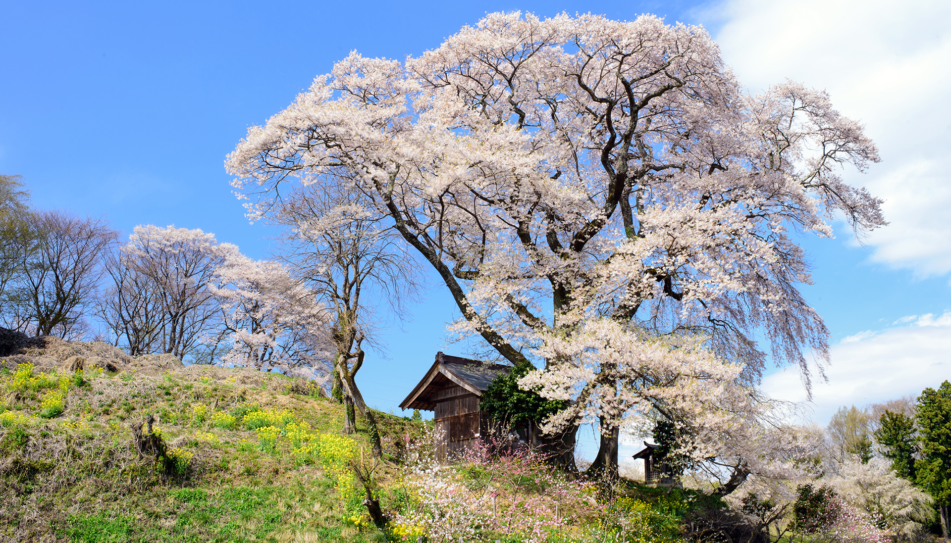 屋敷のまわり